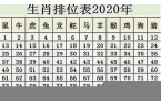 属鼠的今年多大2024年了啊-