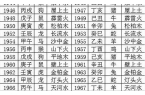 2020年出生属什么生肖属相